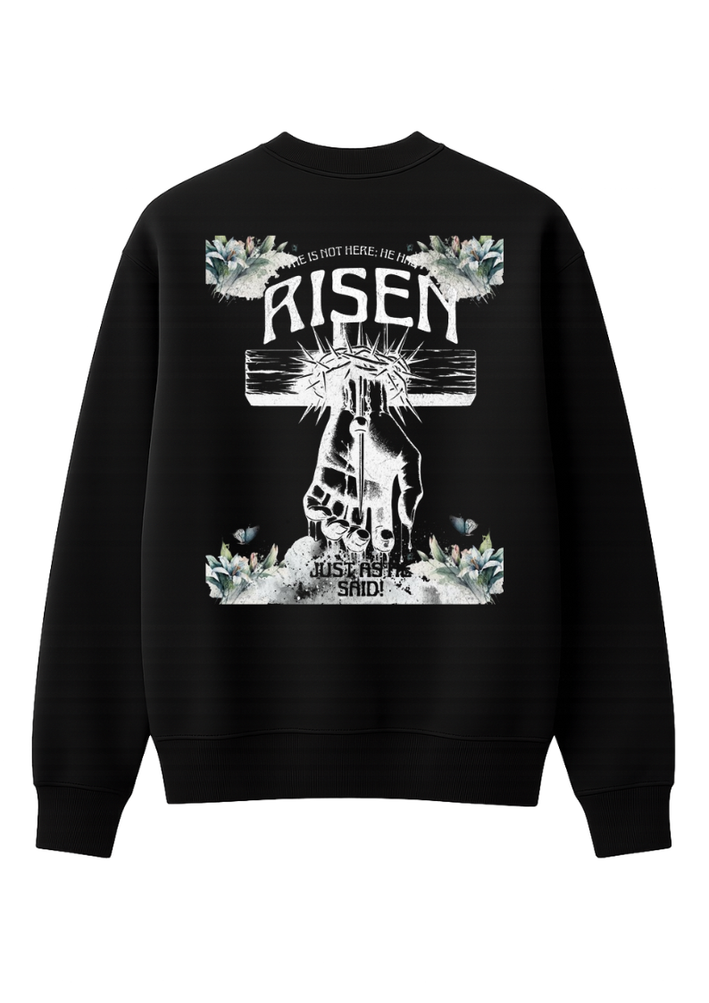 Moletom Risen