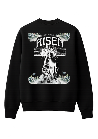 Moletom Risen