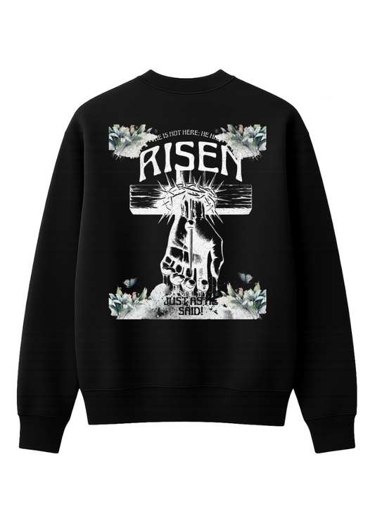 Moletom Risen
