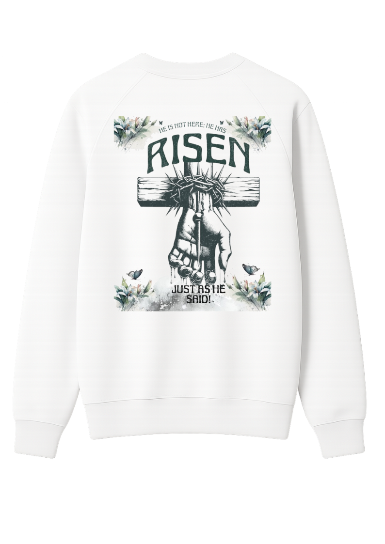 Moletom Risen