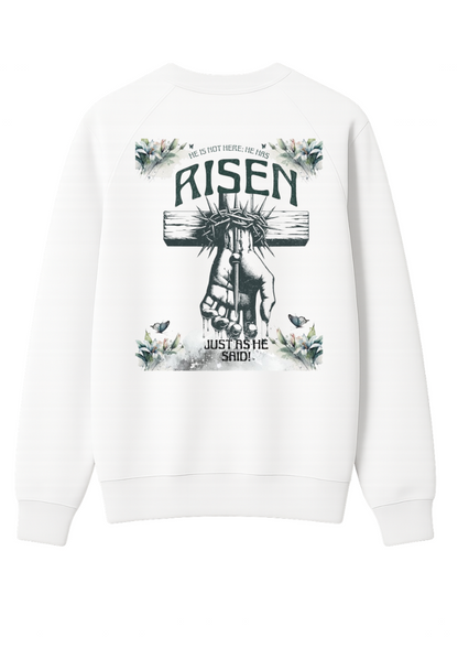 Moletom Risen